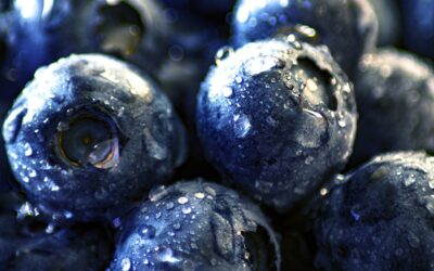 Jagody acai – właściwości odchudzające
